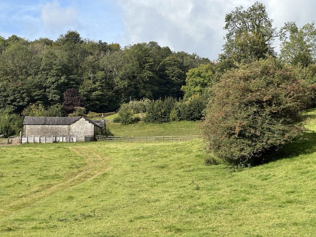Weiden met bos op achterrgrond en hoeve links. 
