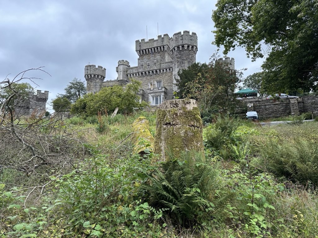 Grijs kasteel met toren en kantelen op achtegrond; voorgrond struiken.