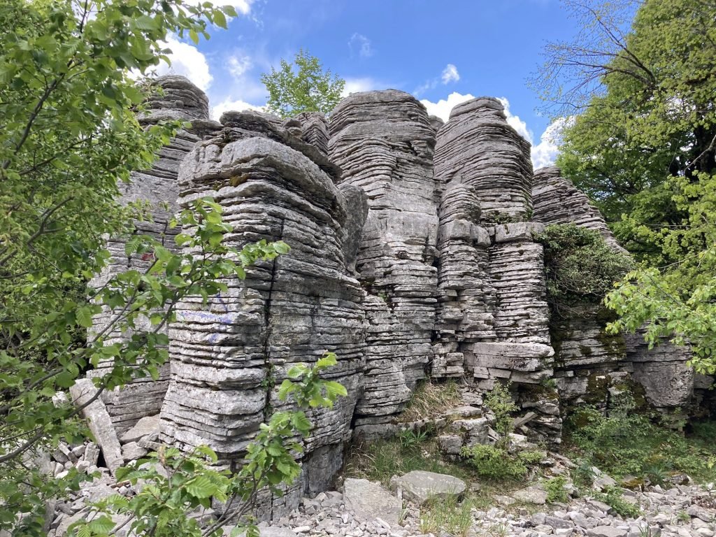 Close-up van het Stone Forest in Vikos,, Centraal Griekenland