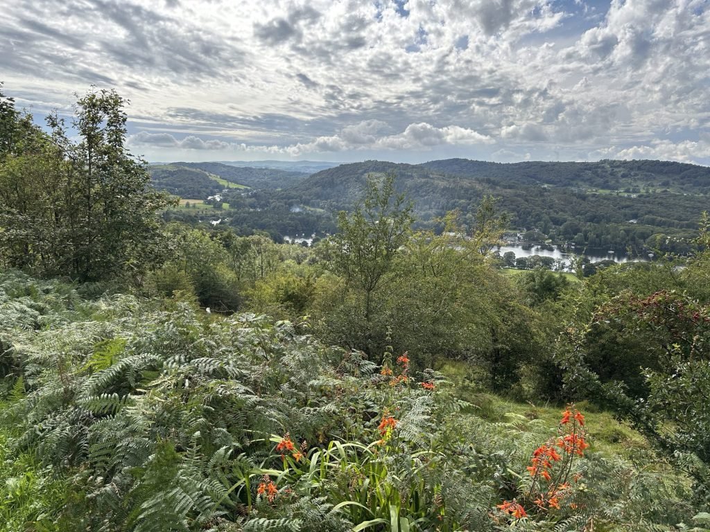 Landschap met varens, oranje bloemen en meer in achtergrond.