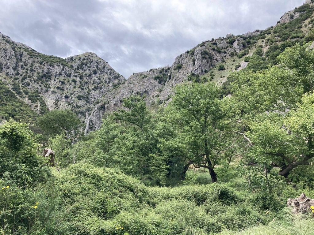 Groene Louros-vallei, Centraal Griekenland
