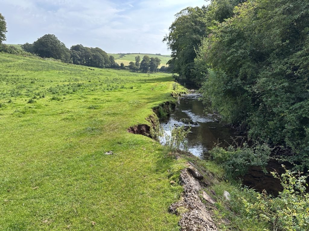 Riviertje met struiken rechts; grasveld links.