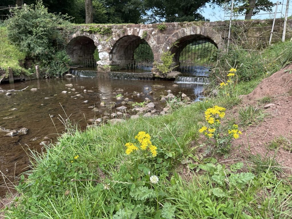 Oude stenen brug met drie bogen en gele bloemen op voorgrond.