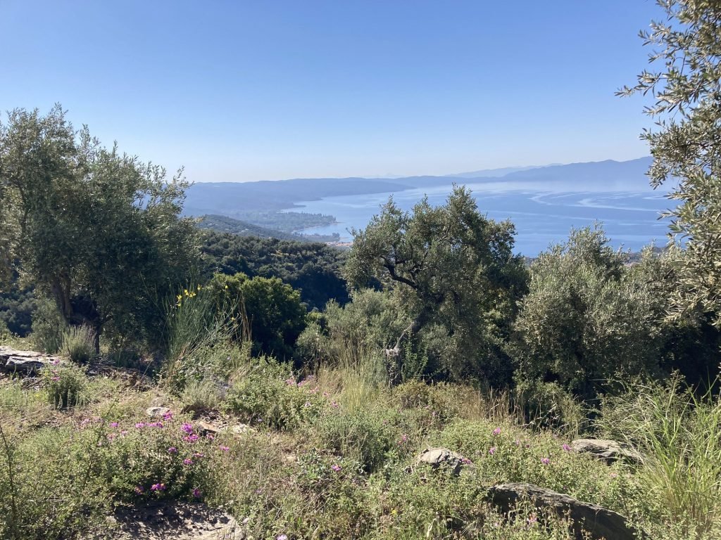 Baai in Pelion, Centraal Griekenland met veel groen op voorgrond