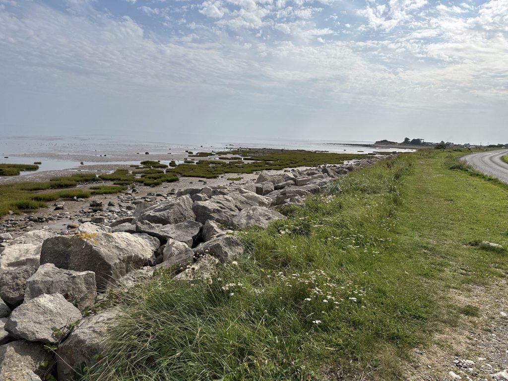 Slikken, schorren, rotsblokken, gras.