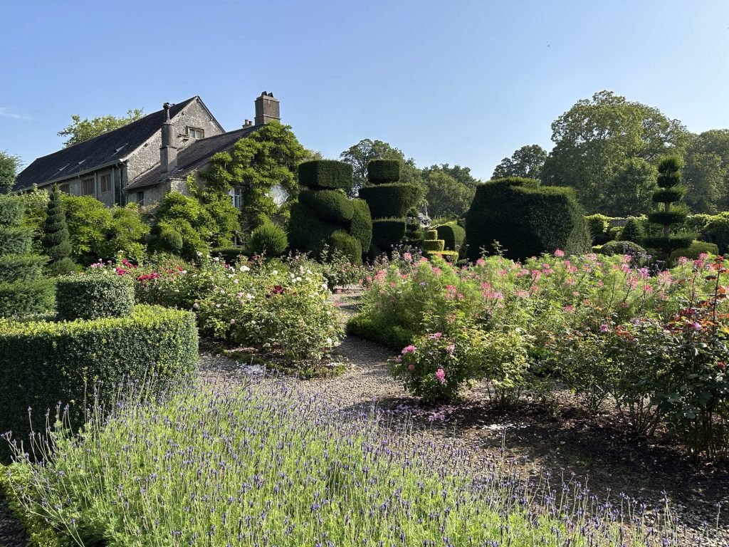 Rozentuin met gesculpteerde buxus op achtergrond. 