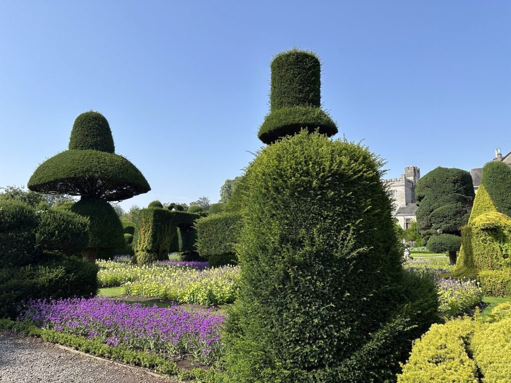 Koning en Koningin van schaakspel in buxus. 