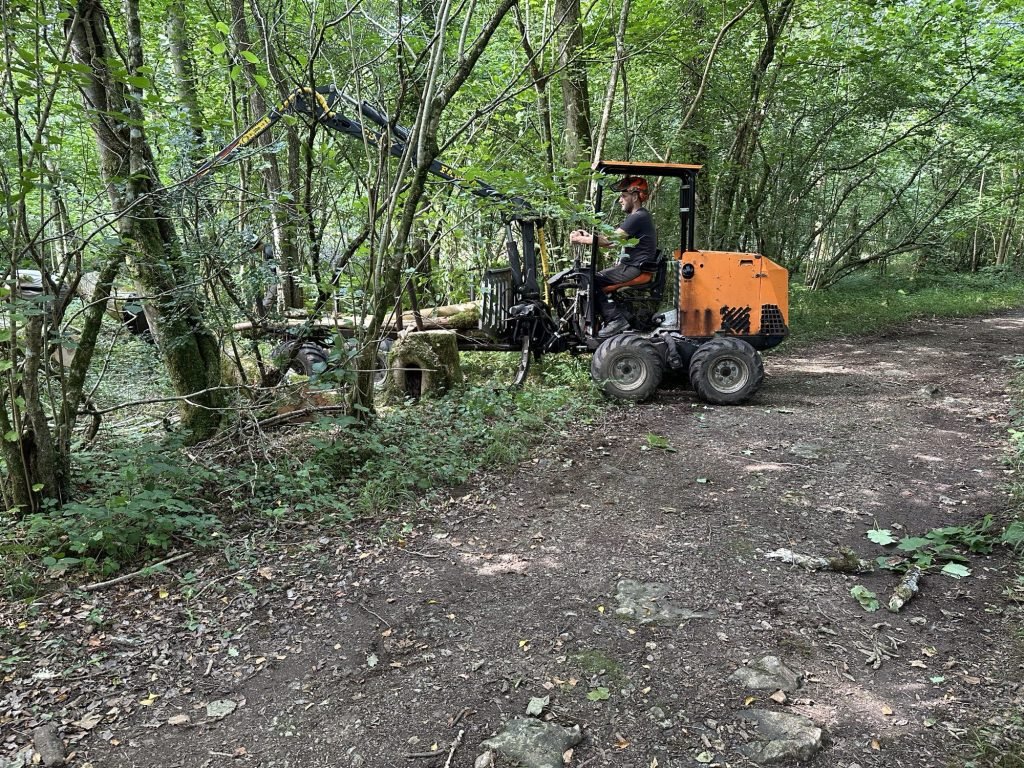 Oranje heftruck om gevelde bomen op te tillen. 