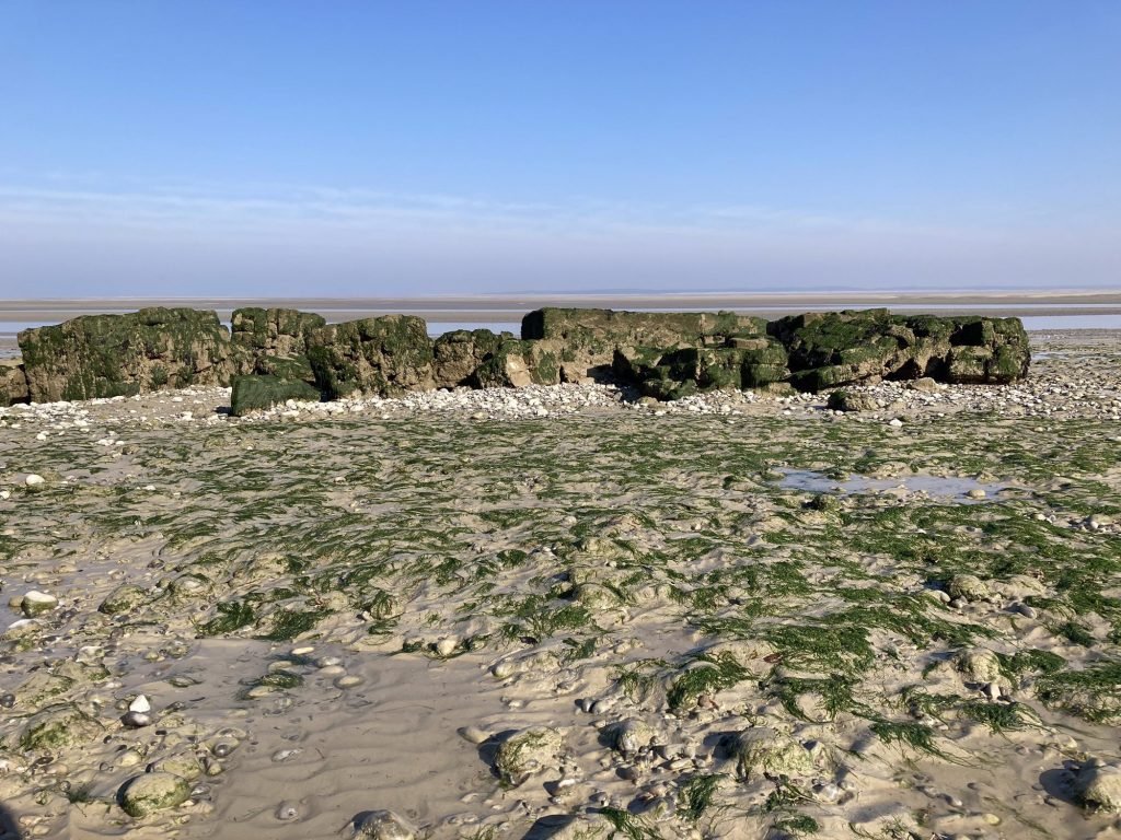 Rosten, slikken en schorren aan de baai van de Somme bij eb