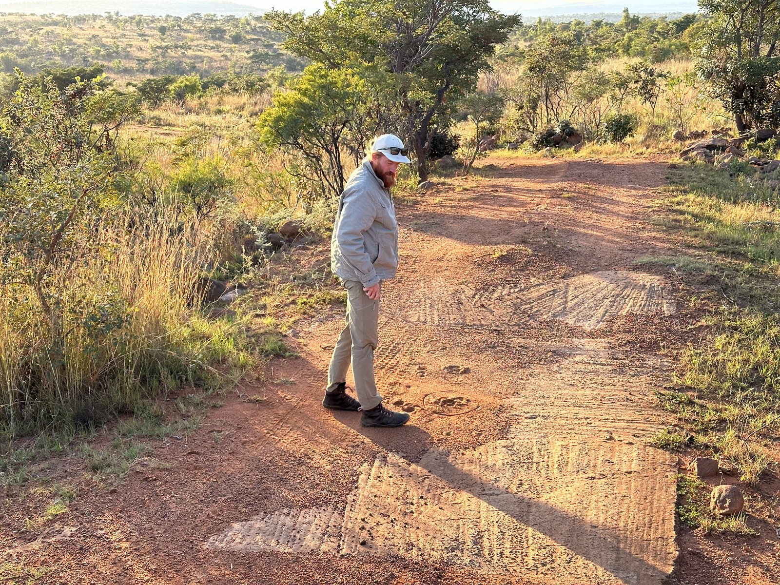Welgevonden Game Reserve: gids zoekt sporen op weg. 