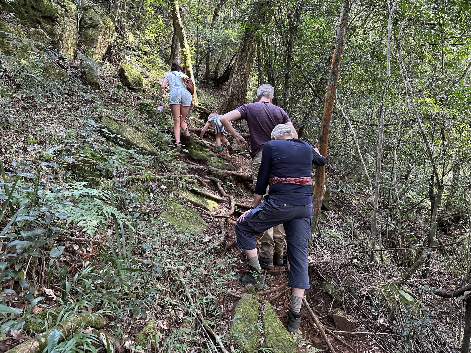 Debengeni Falls: toeristen klimmen steile boshelling op. 
