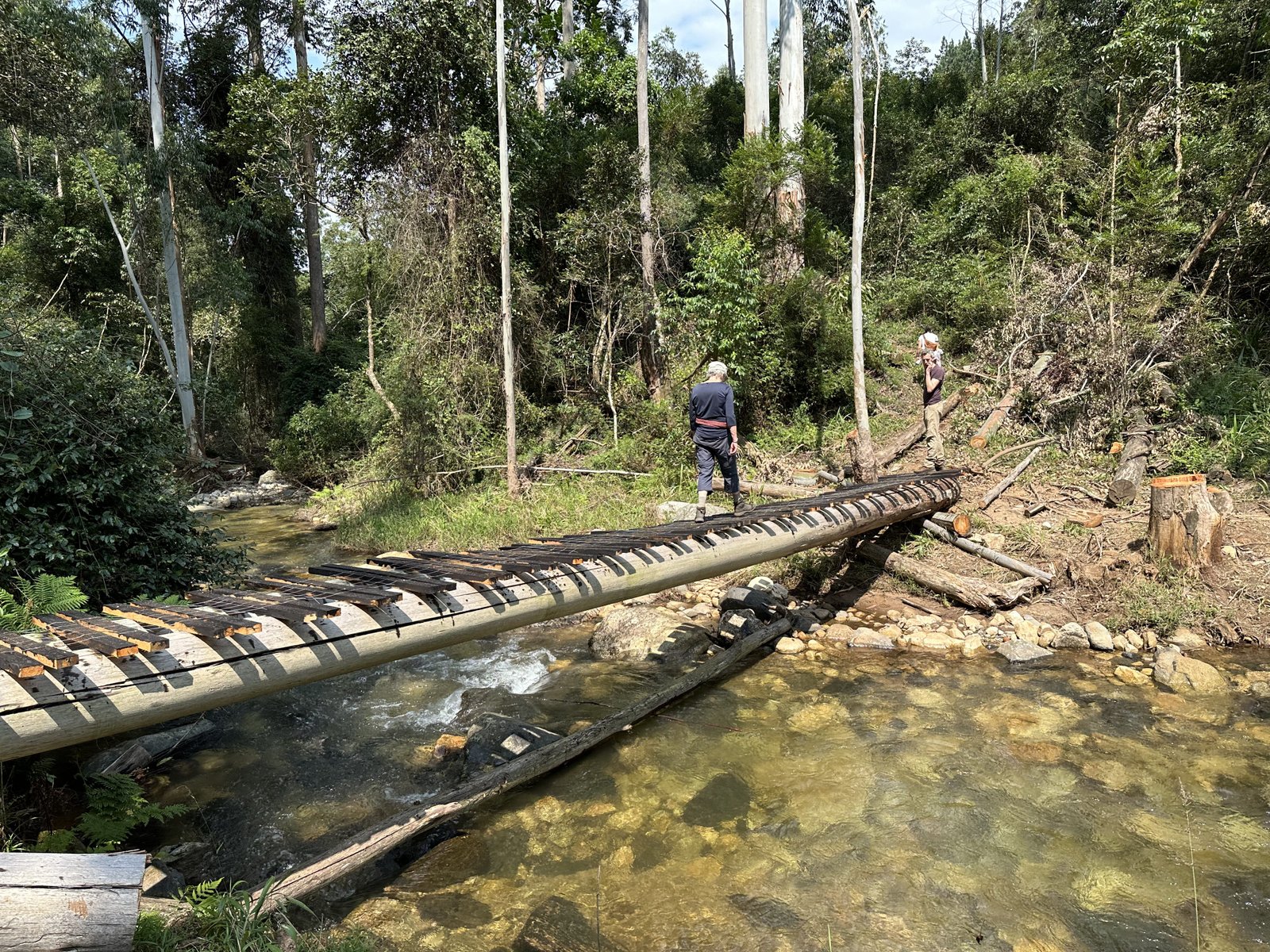 Debengeni Falls: toeriste op smalle loopbrug over rivier. 