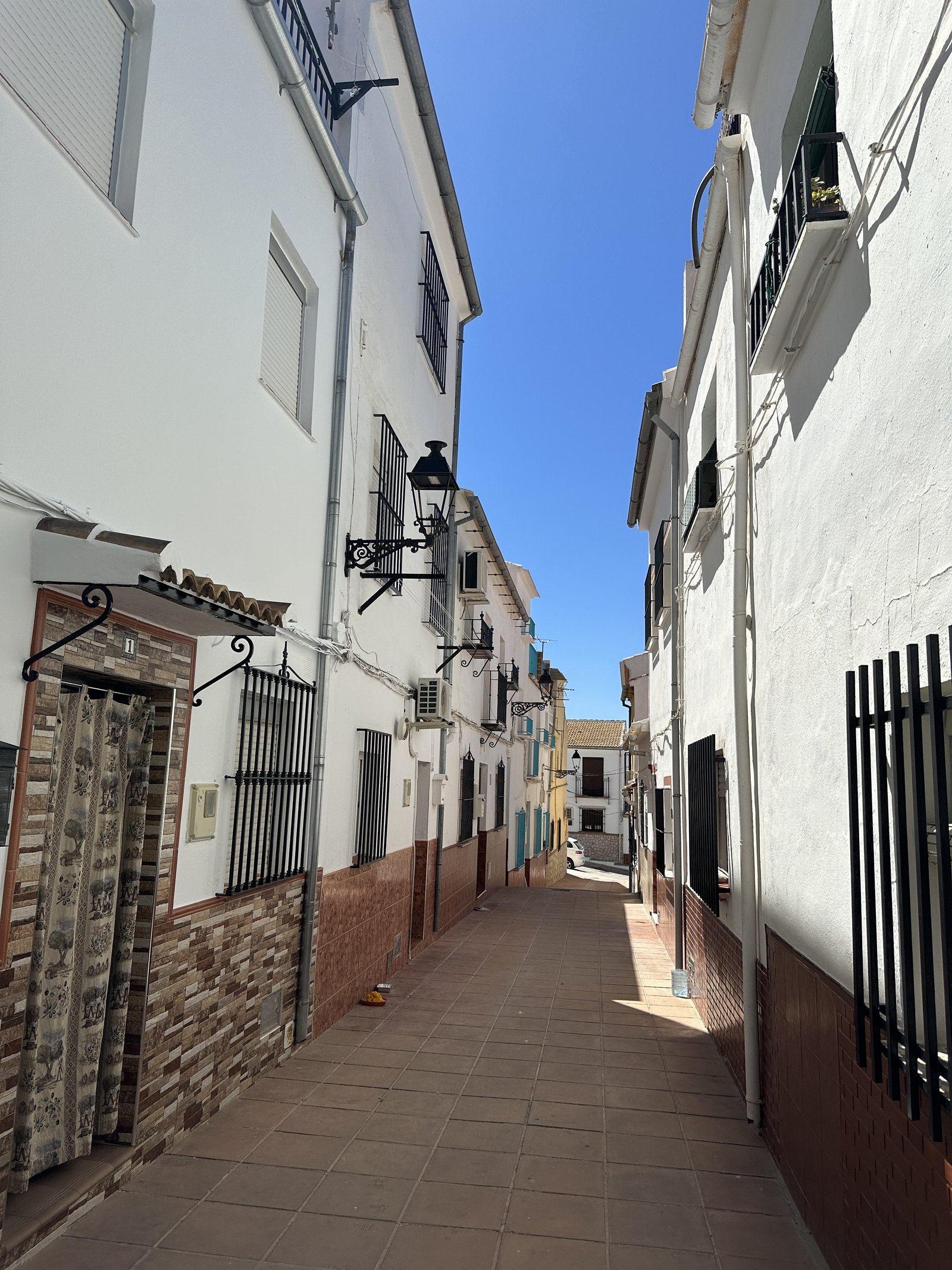 Villanueva de la Concepción: straat met witte huizen met hekken ervoor. 