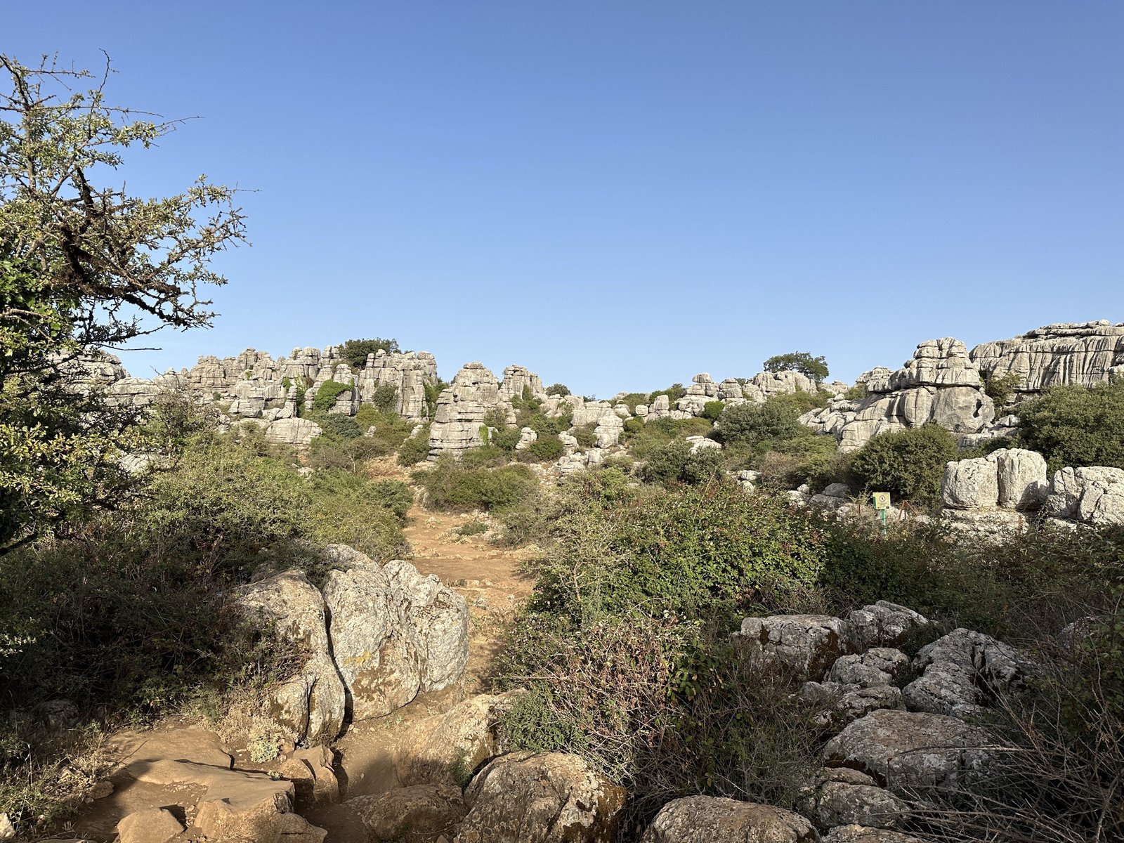 Torcal: grijze rotsen, geel zand, groene struiken. 