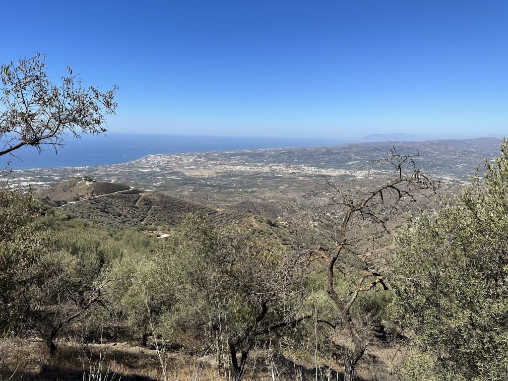 Pico de Bentomiz: panorama met dode boom op voorgrond en diepblauwe lucht.