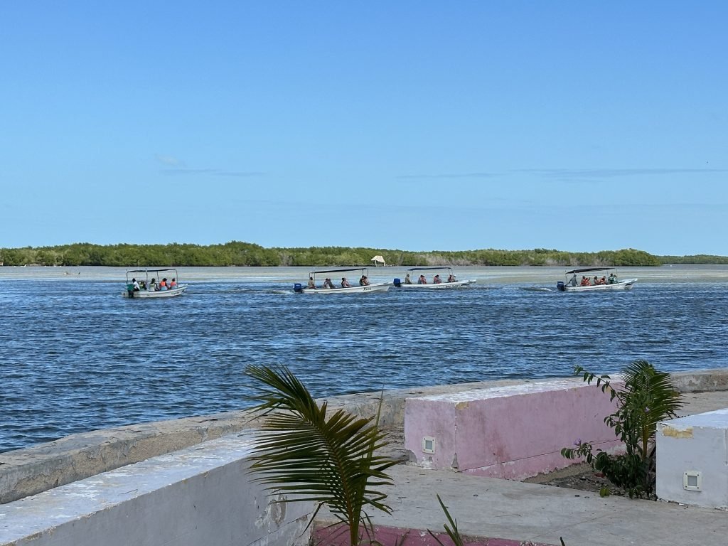 Vier bootjes met toeristen voor een eiland met flamingo’s in Rio Lagartos. 