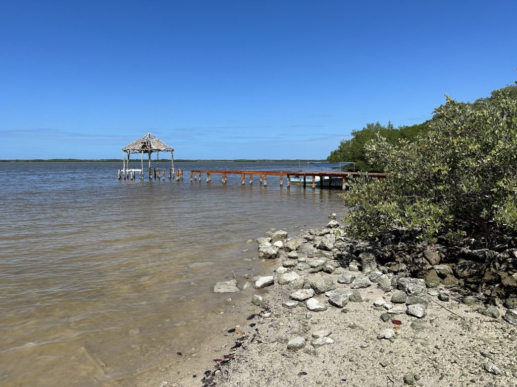 Mangroves en lange steiger in zee aan de cenote Chiquila. 
