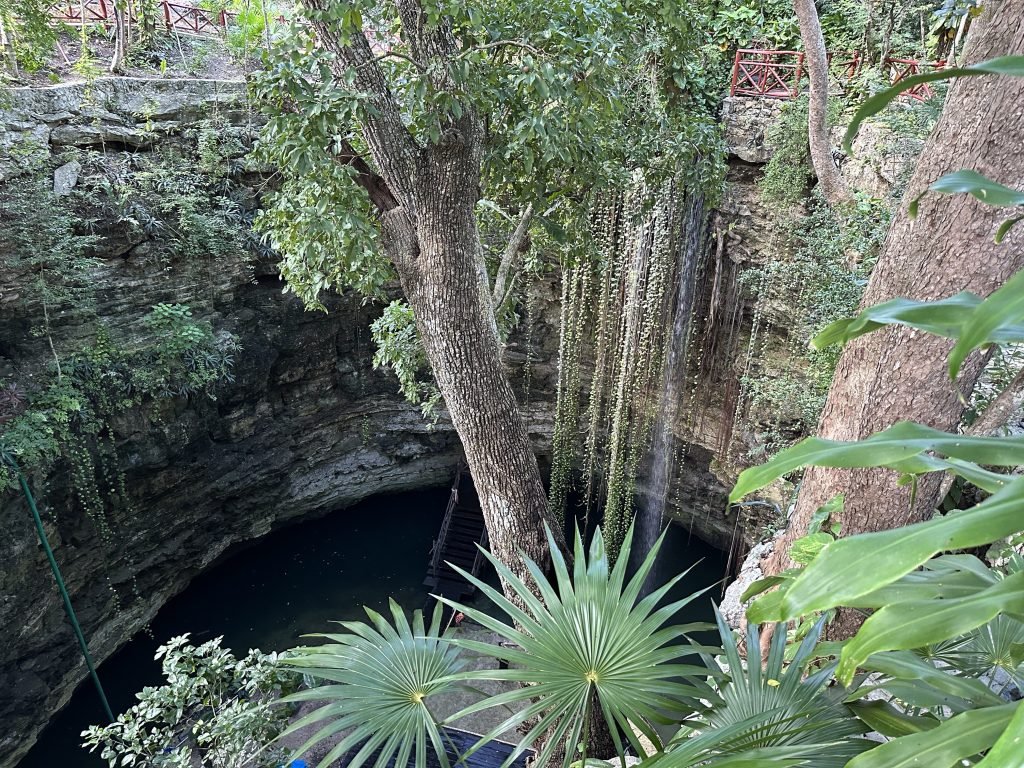 Weelderige begroeiing in en rond de Chichikan cenote. 