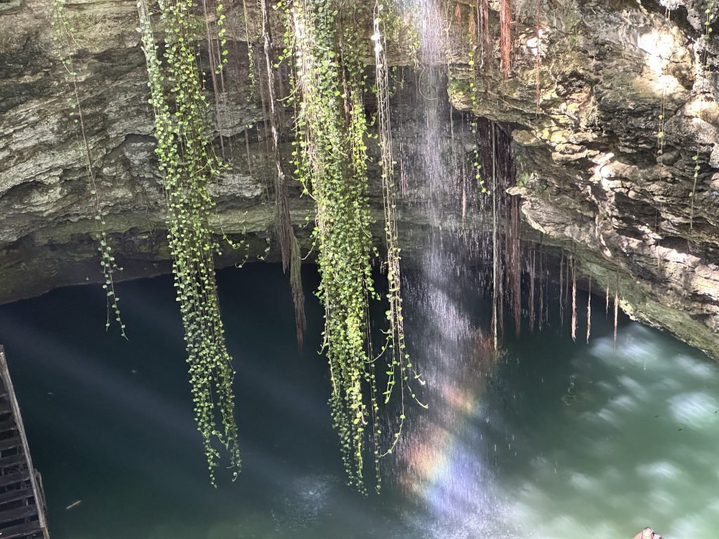 Afhangende bladeren en regnboog boven het oppervlak van de cenote-bodem. 