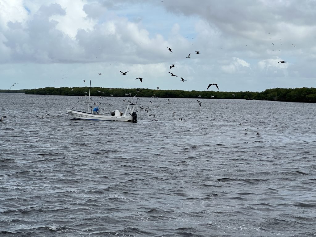 Zee, vissersbootje en fregatvogels. 