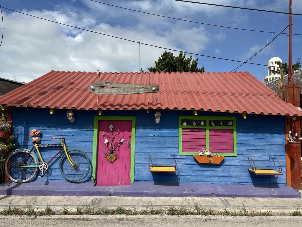 Blauw huis met roze deur en luiken, en kleurrijke fiets aan de muur en golfplaten dak.