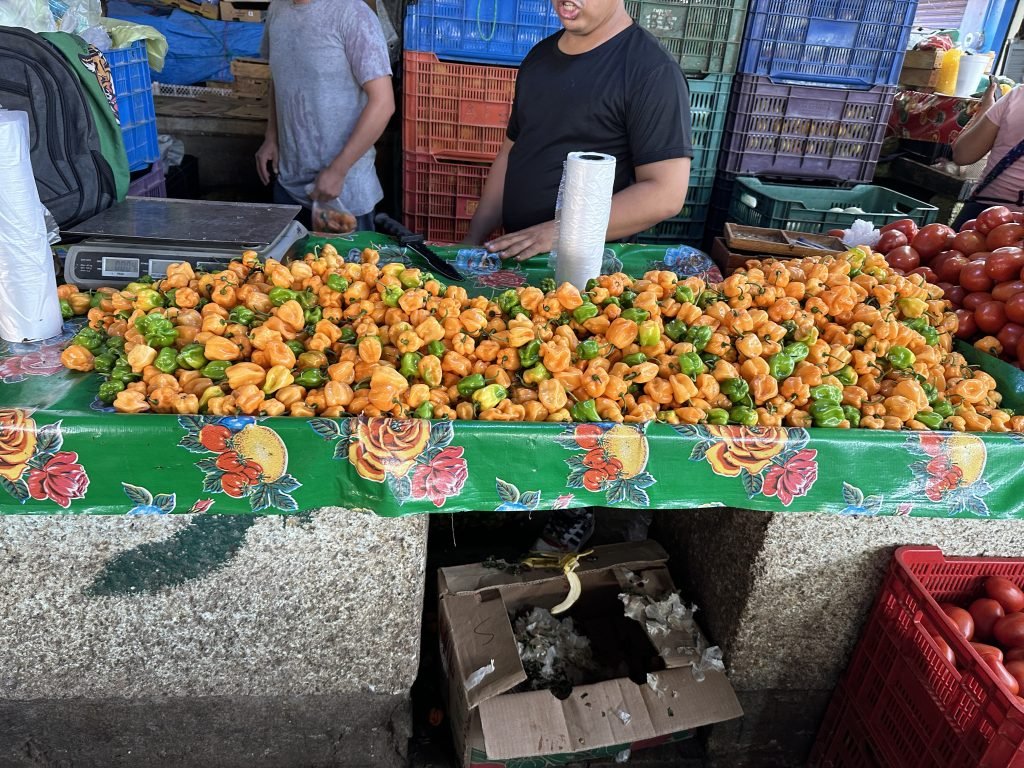Oranje en groene pepers uitgestald op de markt. 