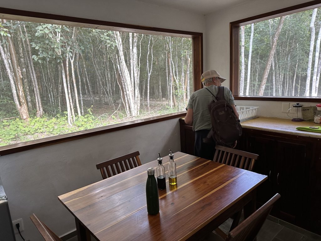 Binnen in vakantiehuis Mango in Casa Kaan: grote vensters kijken ui op bos. 