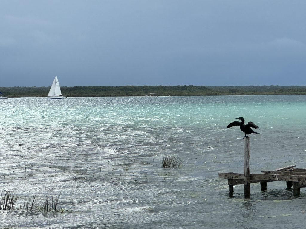 Laguna Bacalar met zeilbootje links en aalscholver rechts. 