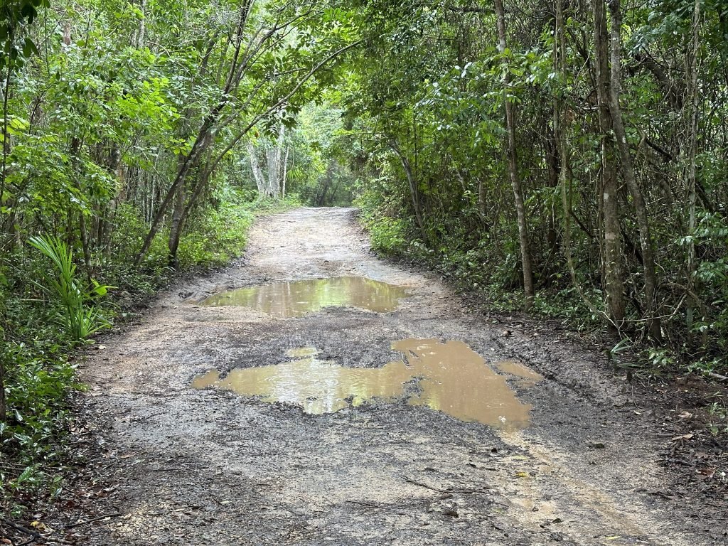 Weg vol plassen door de jungle dicht bij Bacalar