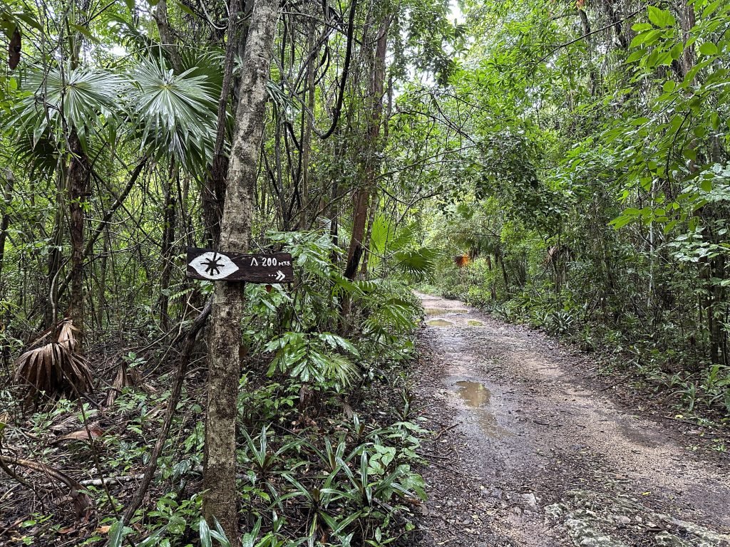 Natte weg in jungle met wegwijzertje naar Kapok Bacalar. 